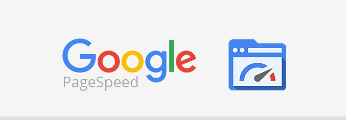 Google PageSpeed logo